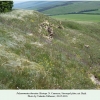 polyommatus thersites biotope bryk 1